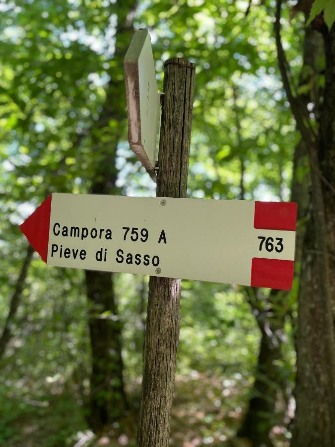 Вилла La Tana Del Picchio Neviano degli Arduini Экстерьер фото
